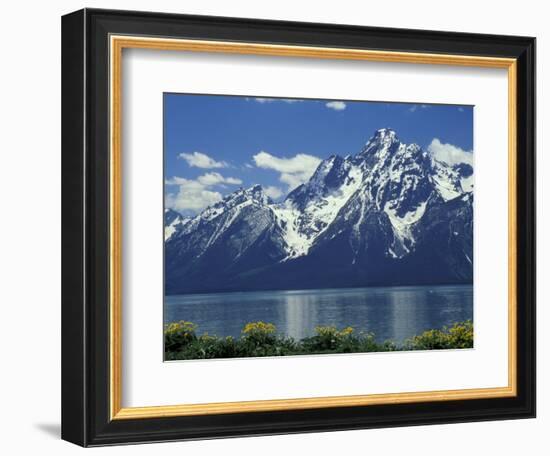 Mt. Moran from Jackson Lake, Grand Teton National Park, Wyoming, USA-Jamie & Judy Wild-Framed Photographic Print