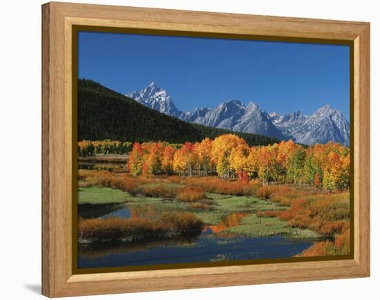 Mt. Moren, Oxbow Bend, Grand Tetons National Park, Wyoming, USA-Dee Ann Pederson-Framed Premier Image Canvas