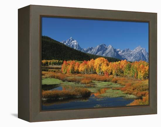 Mt. Moren, Oxbow Bend, Grand Tetons National Park, Wyoming, USA-Dee Ann Pederson-Framed Premier Image Canvas