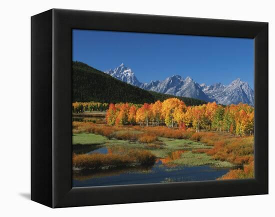 Mt. Moren, Oxbow Bend, Grand Tetons National Park, Wyoming, USA-Dee Ann Pederson-Framed Premier Image Canvas