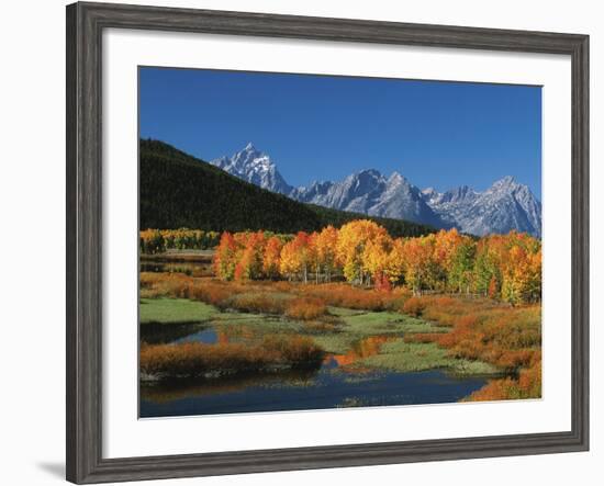 Mt. Moren, Oxbow Bend, Grand Tetons National Park, Wyoming, USA-Dee Ann Pederson-Framed Photographic Print