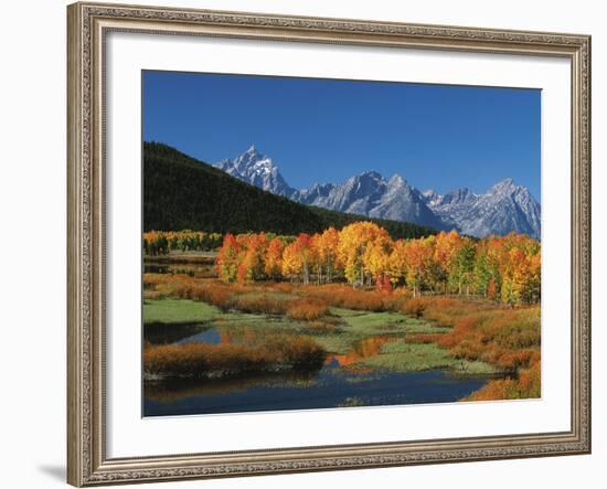 Mt. Moren, Oxbow Bend, Grand Tetons National Park, Wyoming, USA-Dee Ann Pederson-Framed Photographic Print