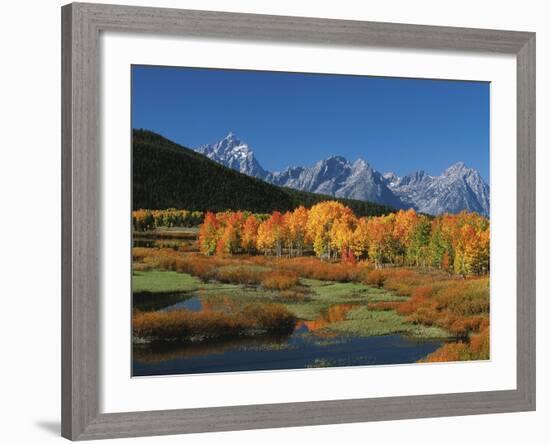 Mt. Moren, Oxbow Bend, Grand Tetons National Park, Wyoming, USA-Dee Ann Pederson-Framed Photographic Print