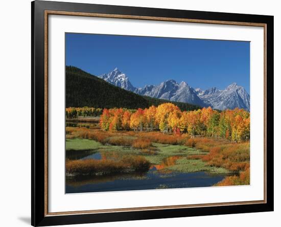 Mt. Moren, Oxbow Bend, Grand Tetons National Park, Wyoming, USA-Dee Ann Pederson-Framed Photographic Print