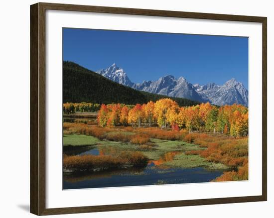 Mt. Moren, Oxbow Bend, Grand Tetons National Park, Wyoming, USA-Dee Ann Pederson-Framed Photographic Print