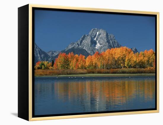 Mt. Moren, Oxbow Bend, Grand Tetons National Park, Wyoming, USA-Dee Ann Pederson-Framed Premier Image Canvas