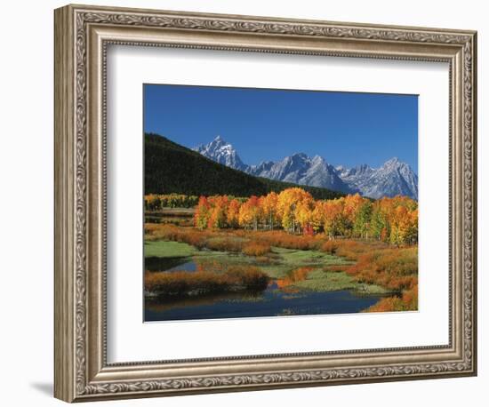 Mt. Moren, Oxbow Bend, Grand Tetons National Park, Wyoming, USA-Dee Ann Pederson-Framed Photographic Print