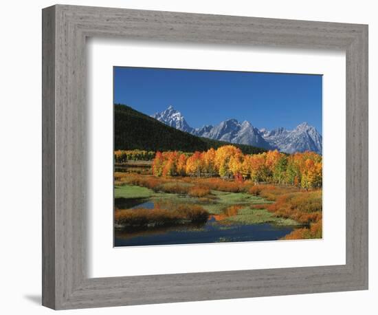 Mt. Moren, Oxbow Bend, Grand Tetons National Park, Wyoming, USA-Dee Ann Pederson-Framed Photographic Print