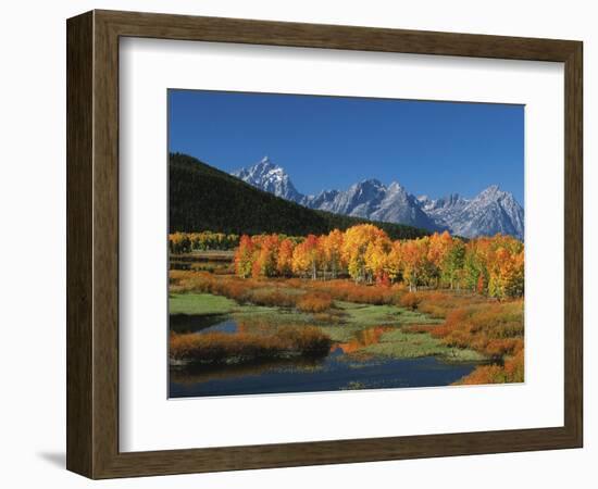 Mt. Moren, Oxbow Bend, Grand Tetons National Park, Wyoming, USA-Dee Ann Pederson-Framed Photographic Print