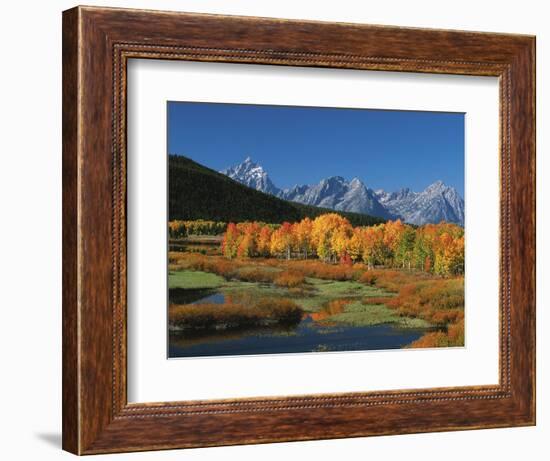Mt. Moren, Oxbow Bend, Grand Tetons National Park, Wyoming, USA-Dee Ann Pederson-Framed Photographic Print