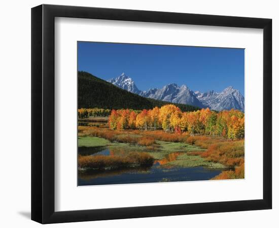 Mt. Moren, Oxbow Bend, Grand Tetons National Park, Wyoming, USA-Dee Ann Pederson-Framed Photographic Print