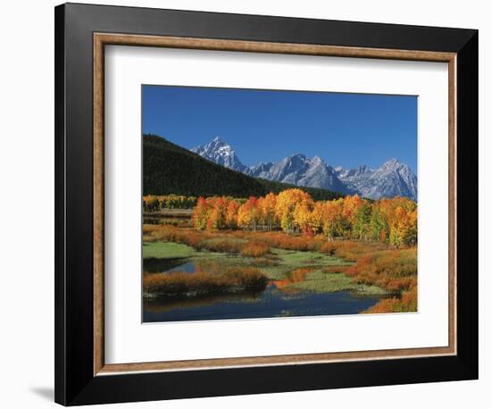 Mt. Moren, Oxbow Bend, Grand Tetons National Park, Wyoming, USA-Dee Ann Pederson-Framed Photographic Print