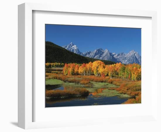 Mt. Moren, Oxbow Bend, Grand Tetons National Park, Wyoming, USA-Dee Ann Pederson-Framed Photographic Print