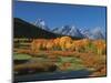 Mt. Moren, Oxbow Bend, Grand Tetons National Park, Wyoming, USA-Dee Ann Pederson-Mounted Photographic Print