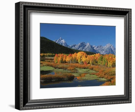 Mt. Moren, Oxbow Bend, Grand Tetons National Park, Wyoming, USA-Dee Ann Pederson-Framed Photographic Print