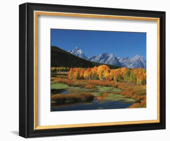 Mt. Moren, Oxbow Bend, Grand Tetons National Park, Wyoming, USA-Dee Ann Pederson-Framed Photographic Print