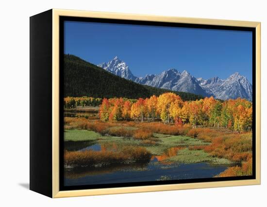 Mt. Moren, Oxbow Bend, Grand Tetons National Park, Wyoming, USA-Dee Ann Pederson-Framed Premier Image Canvas