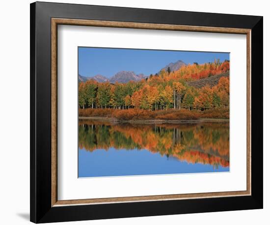 Mt. Moren, Oxbow Bend, Grand Tetons National Park, Wyoming, USA-Dee Ann Pederson-Framed Photographic Print