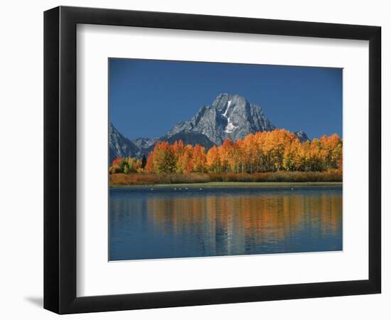 Mt. Moren, Oxbow Bend, Grand Tetons National Park, Wyoming, USA-Dee Ann Pederson-Framed Photographic Print