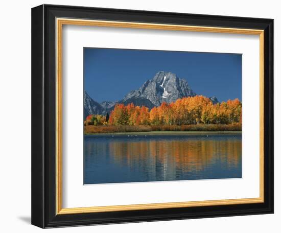 Mt. Moren, Oxbow Bend, Grand Tetons National Park, Wyoming, USA-Dee Ann Pederson-Framed Photographic Print