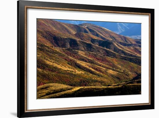 Mt. Nebo Loop Scenic Byway, Utah: This Byway Corsses The Uinta NF Between Nephi And Payson, Utah-Ian Shive-Framed Photographic Print