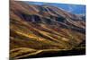 Mt. Nebo Loop Scenic Byway, Utah: This Byway Corsses The Uinta NF Between Nephi And Payson, Utah-Ian Shive-Mounted Photographic Print