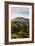 Mt. Nebo Loop Scenic Byway, Utah: This Byway Crosses The Uinta NF Between Nephi And Payson, Utah-Ian Shive-Framed Photographic Print