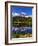 Mt. Rainer II-Ike Leahy-Framed Photographic Print