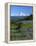 Mt. Rainer in distance, Meadows, Adams Wilderness, Mt, Washington, USA-Charles Gurche-Framed Premier Image Canvas