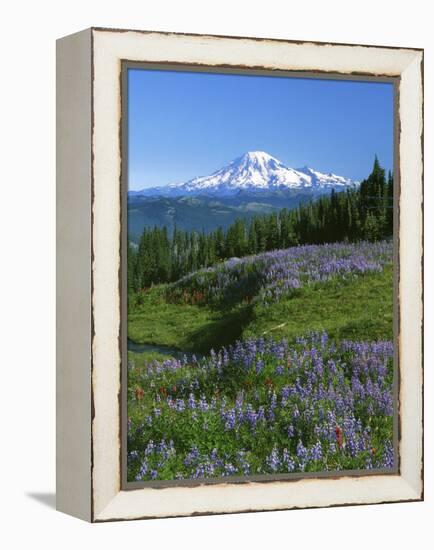 Mt. Rainer in distance, Meadows, Adams Wilderness, Mt, Washington, USA-Charles Gurche-Framed Premier Image Canvas