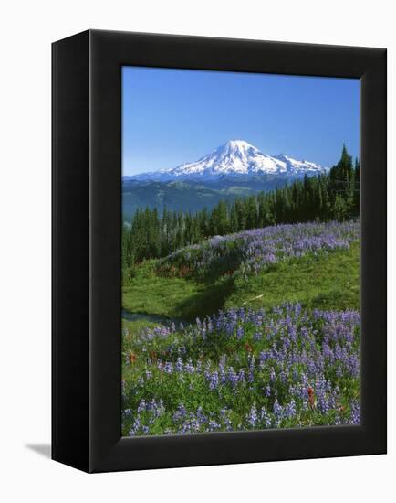 Mt. Rainer in distance, Meadows, Adams Wilderness, Mt, Washington, USA-Charles Gurche-Framed Premier Image Canvas