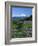 Mt. Rainer in distance, Meadows, Adams Wilderness, Mt, Washington, USA-Charles Gurche-Framed Photographic Print