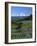 Mt. Rainer in distance, Meadows, Adams Wilderness, Mt, Washington, USA-Charles Gurche-Framed Photographic Print