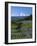 Mt. Rainer in distance, Meadows, Adams Wilderness, Mt, Washington, USA-Charles Gurche-Framed Photographic Print