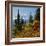 Mt Rainier Above Autumn Huckleberry, Chinook Pass, Washington, USA-Charles Gurche-Framed Photographic Print