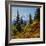 Mt Rainier Above Autumn Huckleberry, Chinook Pass, Washington, USA-Charles Gurche-Framed Photographic Print