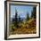 Mt Rainier Above Autumn Huckleberry, Chinook Pass, Washington, USA-Charles Gurche-Framed Photographic Print