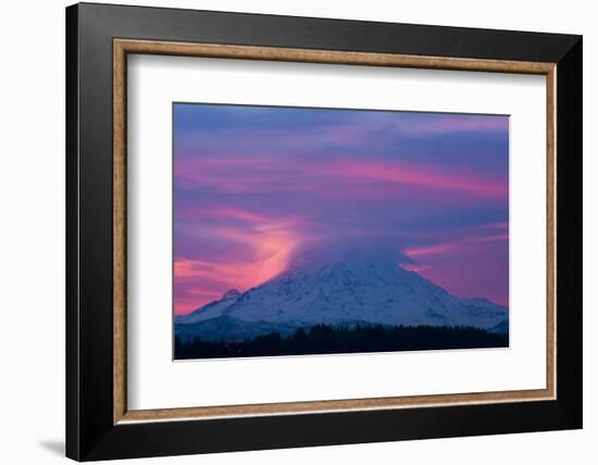 Mt Rainier at Sunrise, Washington, USA-Art Wolfe-Framed Photographic Print