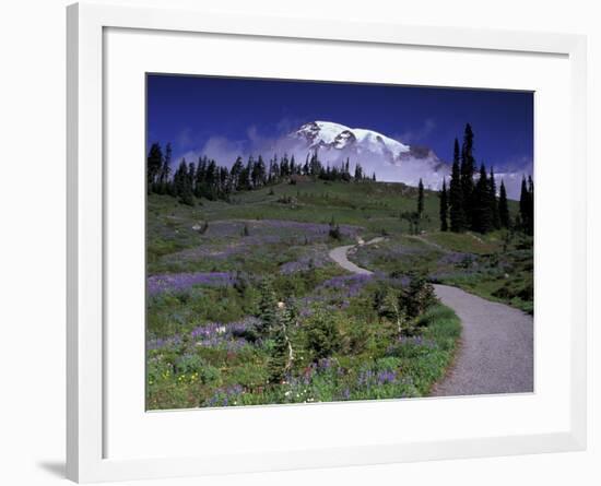 Mt. Rainier from Dead Horse Creek Trail, Mt. Rainier National Park, Washington, USA-Jamie & Judy Wild-Framed Photographic Print