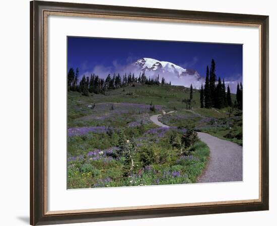 Mt. Rainier from Dead Horse Creek Trail, Mt. Rainier National Park, Washington, USA-Jamie & Judy Wild-Framed Photographic Print