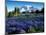 Mt. Rainier from Mazama Ridge, Mount Rainier National Park, Washington, USA-Jamie & Judy Wild-Mounted Photographic Print