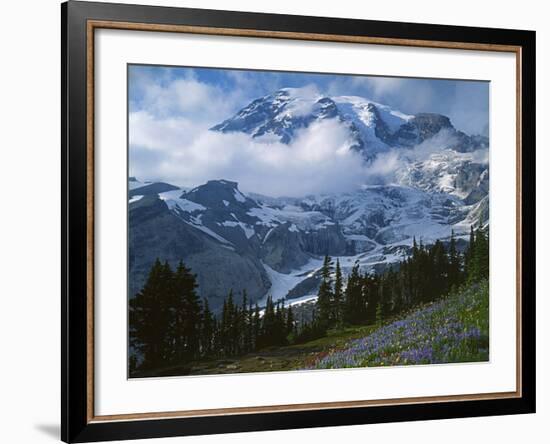 Mt. Rainier from Paradise Meadows, Mt. Rainier National Park, Washington, USA-Charles Gurche-Framed Photographic Print