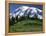 Mt. Rainier from Paradise, Mt. Rainier National Park, Washington, USA-Charles Gurche-Framed Premier Image Canvas