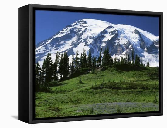 Mt. Rainier from Paradise, Mt. Rainier National Park, Washington, USA-Charles Gurche-Framed Premier Image Canvas