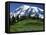 Mt. Rainier from Paradise, Mt. Rainier National Park, Washington, USA-Charles Gurche-Framed Premier Image Canvas