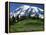 Mt. Rainier from Paradise, Mt. Rainier National Park, Washington, USA-Charles Gurche-Framed Premier Image Canvas