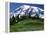 Mt. Rainier from Paradise, Mt. Rainier National Park, Washington, USA-Charles Gurche-Framed Premier Image Canvas