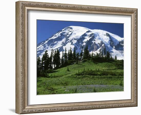 Mt. Rainier from Paradise, Mt. Rainier National Park, Washington, USA-Charles Gurche-Framed Photographic Print