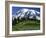 Mt. Rainier from Paradise, Mt. Rainier National Park, Washington, USA-Charles Gurche-Framed Photographic Print