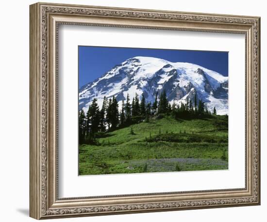 Mt. Rainier from Paradise, Mt. Rainier National Park, Washington, USA-Charles Gurche-Framed Photographic Print